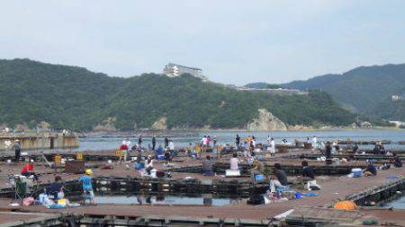 淡路じゃのひれフィッシングパーク 釣果