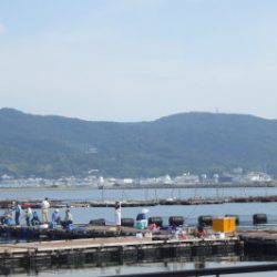 淡路じゃのひれフィッシングパーク 釣果