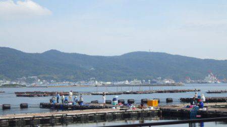 淡路じゃのひれフィッシングパーク 釣果