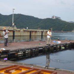 淡路じゃのひれフィッシングパーク 釣果