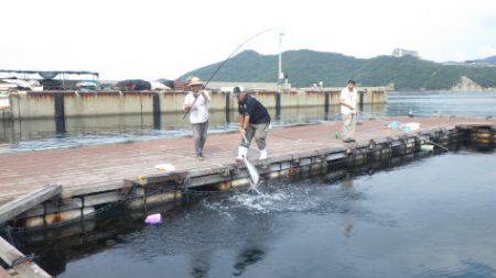 淡路じゃのひれフィッシングパーク 釣果
