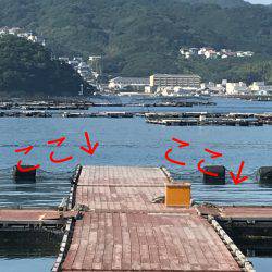 淡路じゃのひれフィッシングパーク 釣果