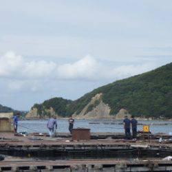 淡路じゃのひれフィッシングパーク 釣果