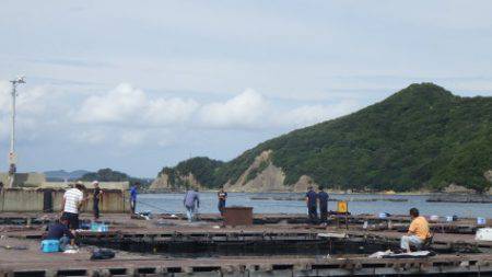 淡路じゃのひれフィッシングパーク 釣果