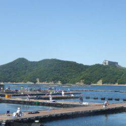 淡路じゃのひれフィッシングパーク 釣果