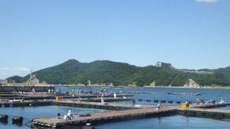 淡路じゃのひれフィッシングパーク 釣果