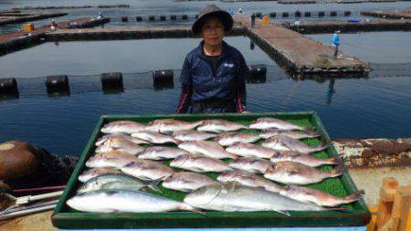 淡路じゃのひれフィッシングパーク 釣果
