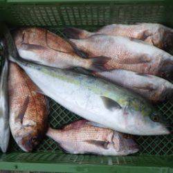 淡路じゃのひれフィッシングパーク 釣果