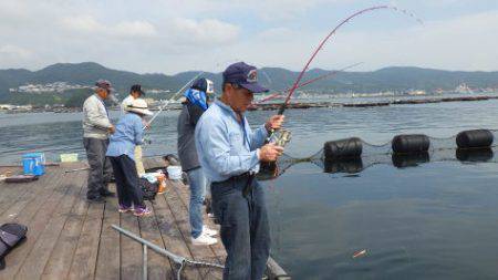 淡路じゃのひれフィッシングパーク 釣果