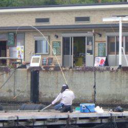 淡路じゃのひれフィッシングパーク 釣果