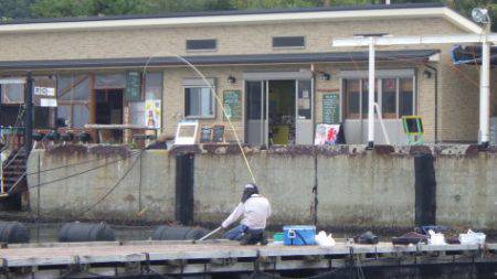淡路じゃのひれフィッシングパーク 釣果