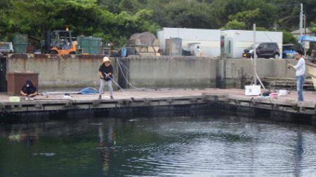 淡路じゃのひれフィッシングパーク 釣果