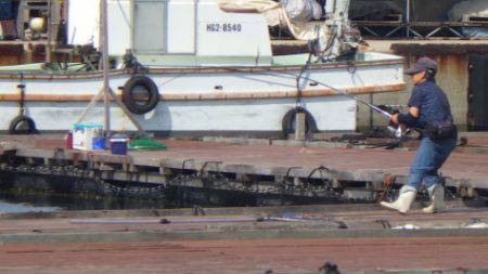 淡路じゃのひれフィッシングパーク 釣果