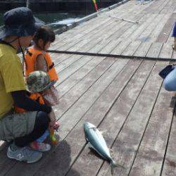 淡路じゃのひれフィッシングパーク 釣果