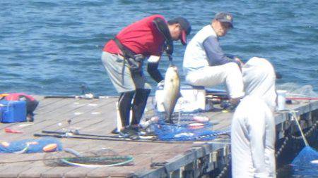 淡路じゃのひれフィッシングパーク 釣果