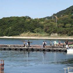 淡路じゃのひれフィッシングパーク 釣果