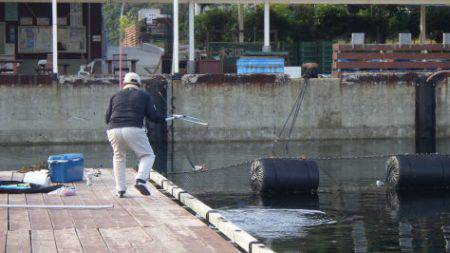 淡路じゃのひれフィッシングパーク 釣果