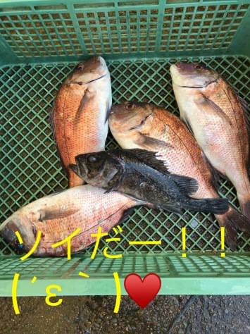 淡路じゃのひれフィッシングパーク 釣果