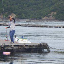 淡路じゃのひれフィッシングパーク 釣果
