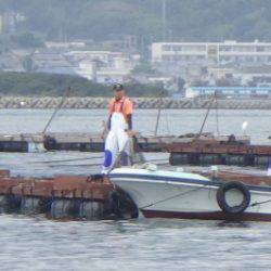 淡路じゃのひれフィッシングパーク 釣果
