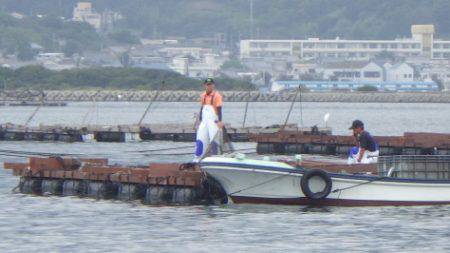 淡路じゃのひれフィッシングパーク 釣果