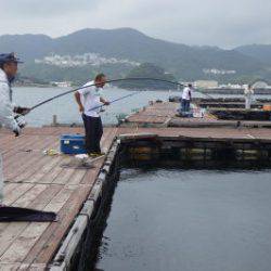 淡路じゃのひれフィッシングパーク 釣果
