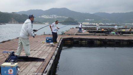 淡路じゃのひれフィッシングパーク 釣果