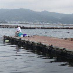 淡路じゃのひれフィッシングパーク 釣果