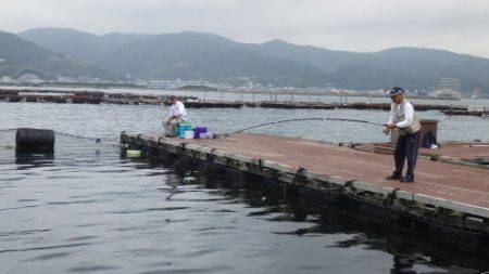 淡路じゃのひれフィッシングパーク 釣果