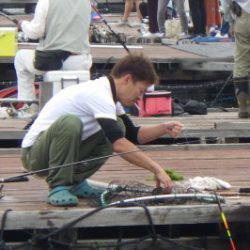 淡路じゃのひれフィッシングパーク 釣果