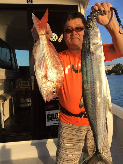 ミタチ丸 釣果