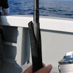 へいみつ丸 釣果