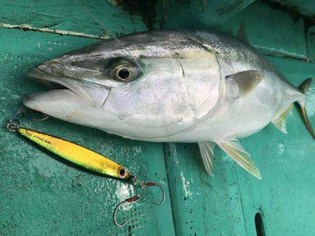 広進丸 釣果