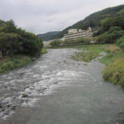 狩野川(狩野川漁業協同組合) 釣果