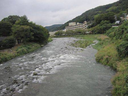狩野川(狩野川漁業協同組合) 釣果