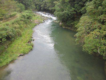 狩野川(狩野川漁業協同組合) 釣果