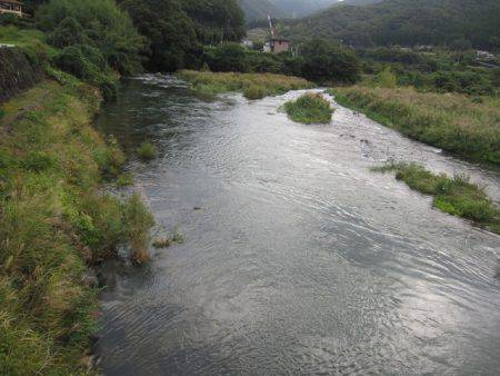 狩野川(狩野川漁業協同組合) 釣果
