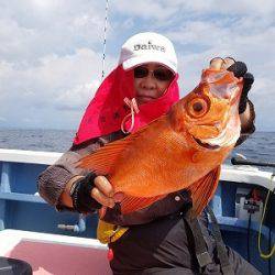 しまや丸 釣果