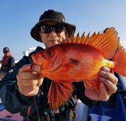 しまや丸 釣果