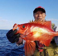 しまや丸 釣果