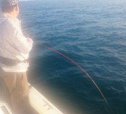 IDATEN(イダテン) 釣果