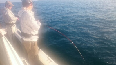 IDATEN(イダテン) 釣果