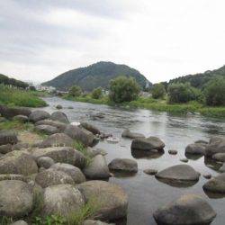 狩野川(狩野川漁業協同組合) 釣果