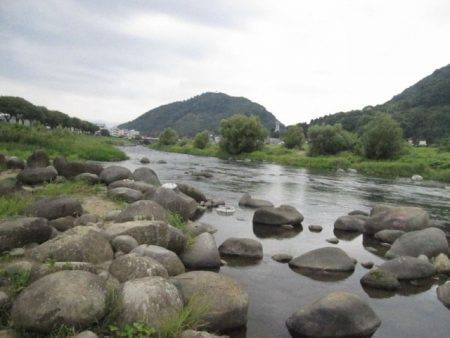 狩野川(狩野川漁業協同組合) 釣果