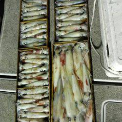 第二大福丸 釣果