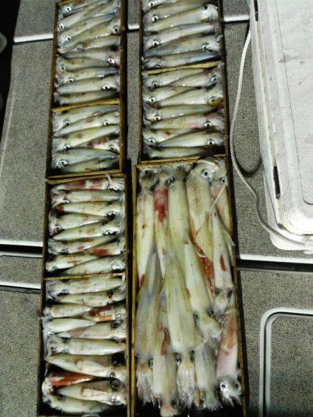 第二大福丸 釣果