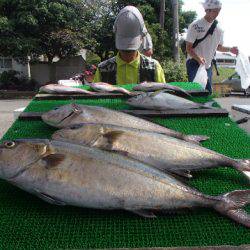 カタタのつり堀 釣果