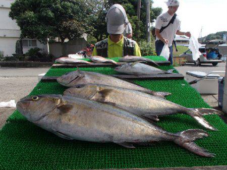 カタタのつり堀 釣果