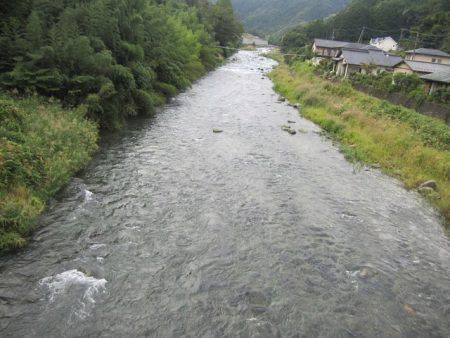 狩野川(狩野川漁業協同組合) 釣果
