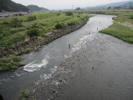 狩野川（狩野川漁業協同組合） 釣果